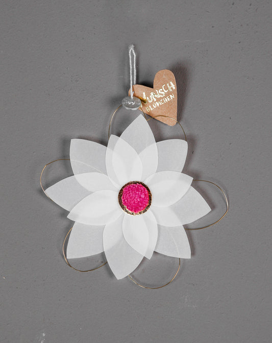 Blütentraum Wunschblümchen