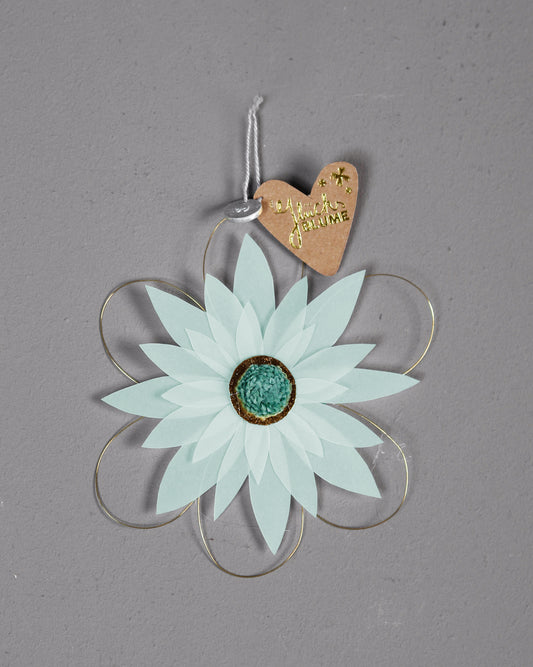 Blütentraum Glücksblume