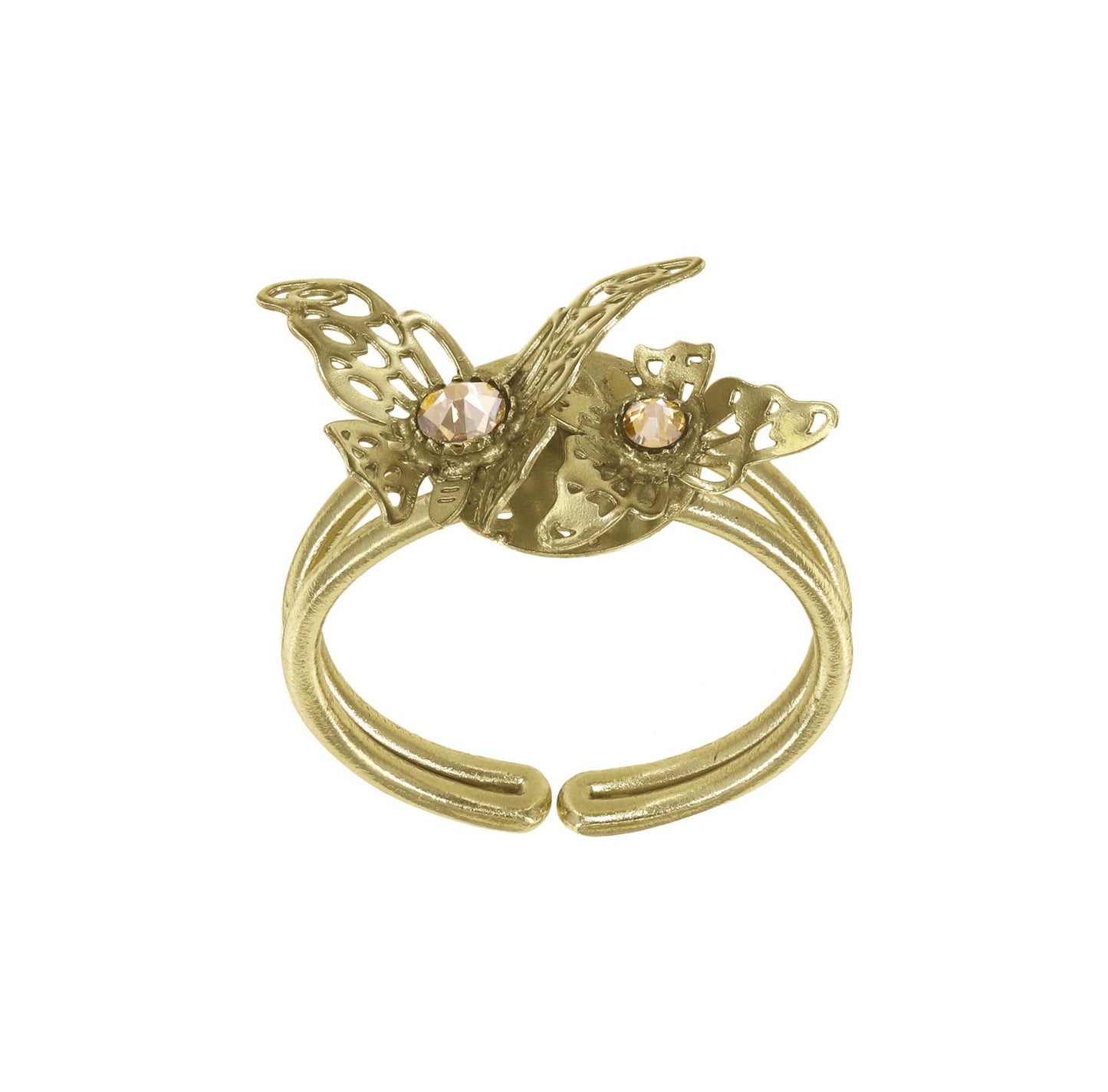 Ring Fly Butterfly Fly