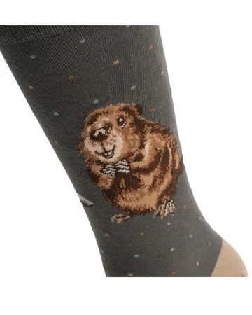 Biber Männersocken von Wrendale Designs