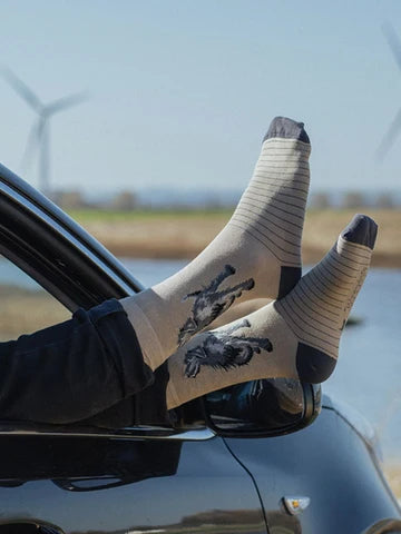 Hunde Männersocken von Wrendale Designs