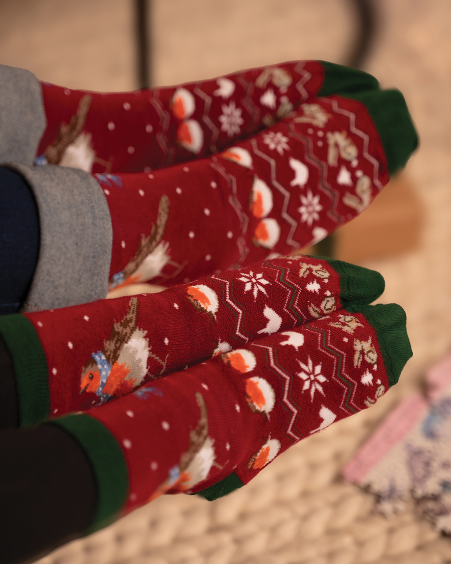 Weihnachtliche Rotkehlchen Familiensocken von Wrendale Designs