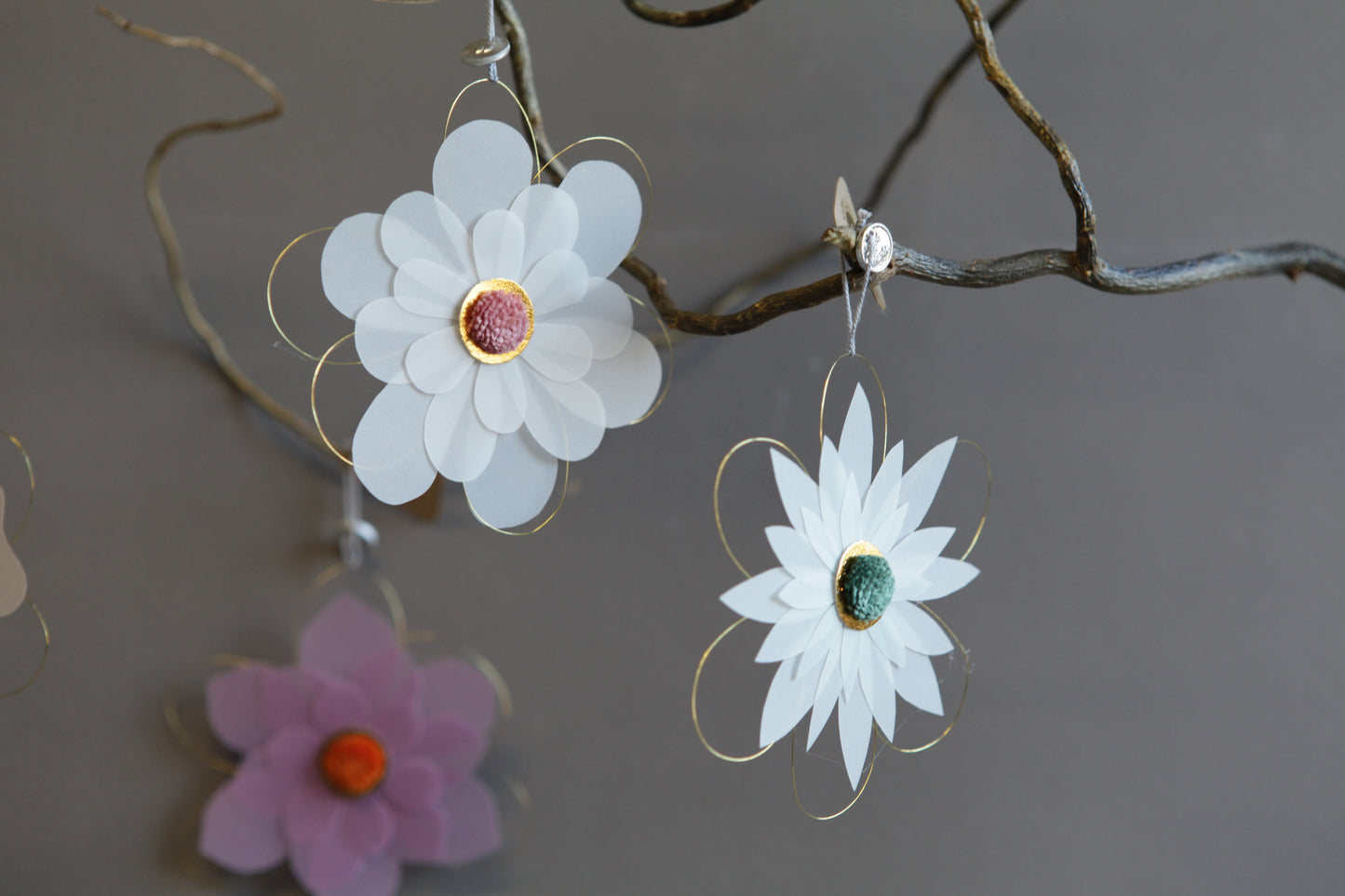 Blütentraum Glücksblume